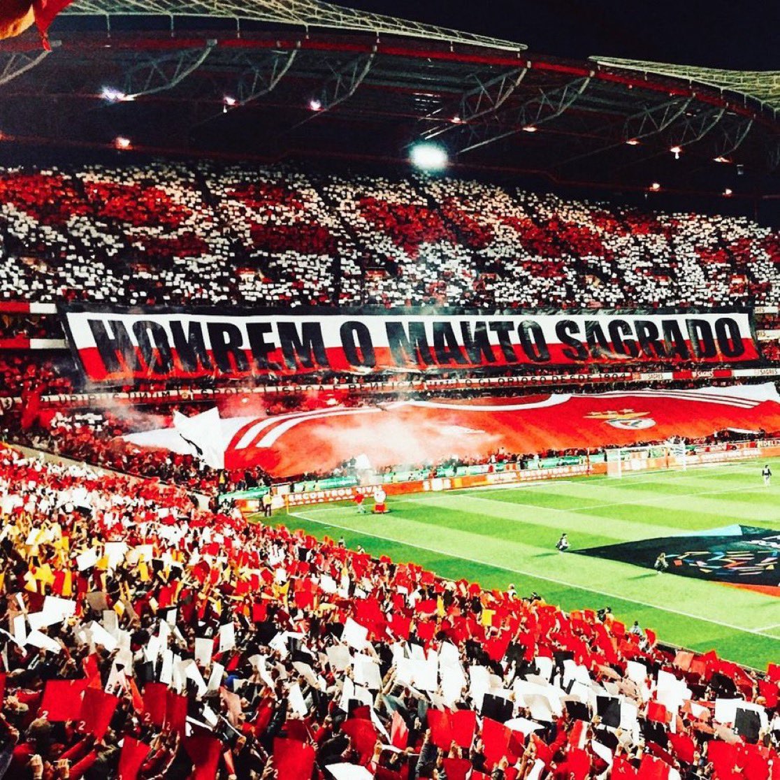 neresdagoat's tweet photo. DIA DE SPORT LISBOA E BENFICA!

HONREM O MANTO SAGRADO E JOGUEM À BENFICA, SEM MEDO! ❤️🦅 https://t.co/T1qYVuzNJl