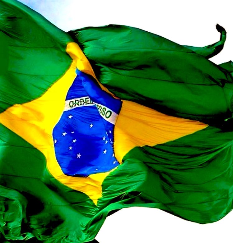 🪶Porã ( Humanista) 🏹🌳 🐆 tweet media