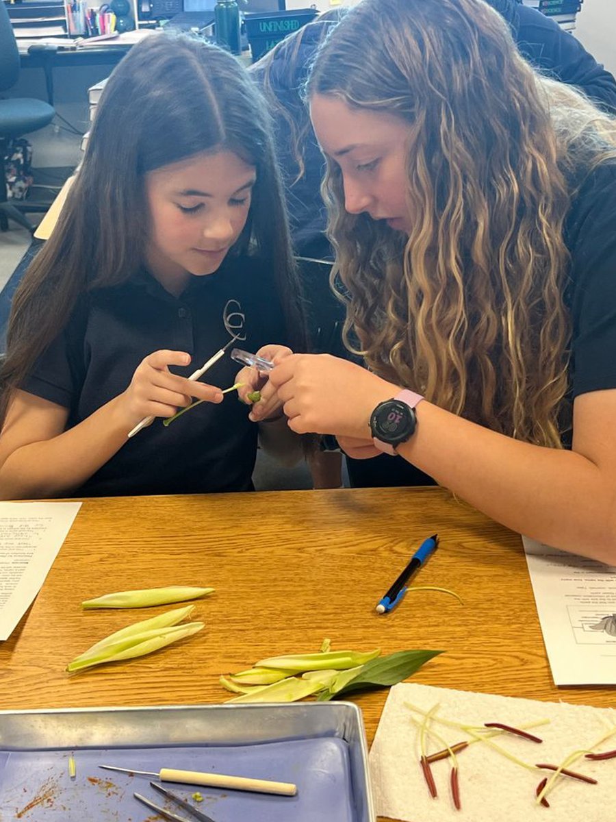 Cypress Christian tweet media