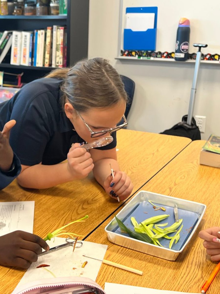 Cypress Christian tweet media