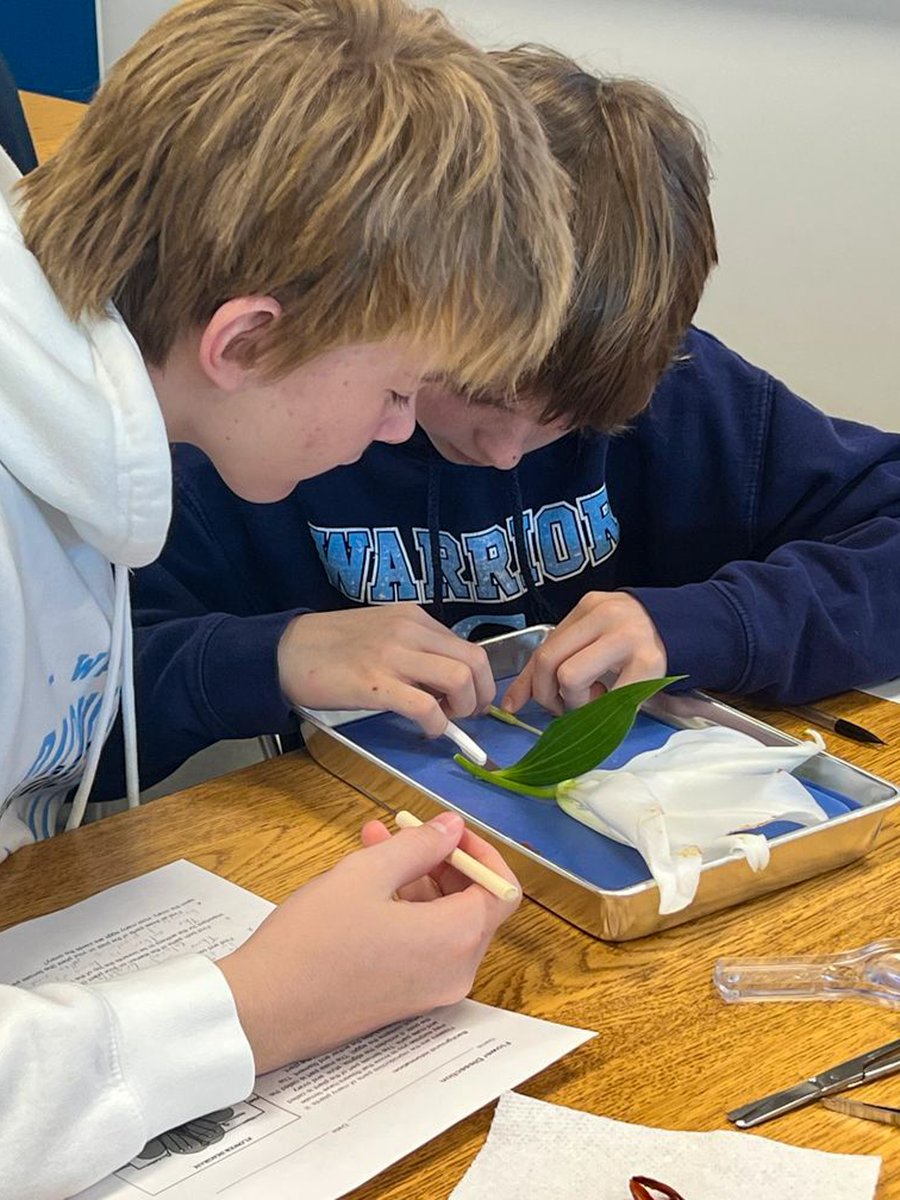 Cypress Christian tweet media