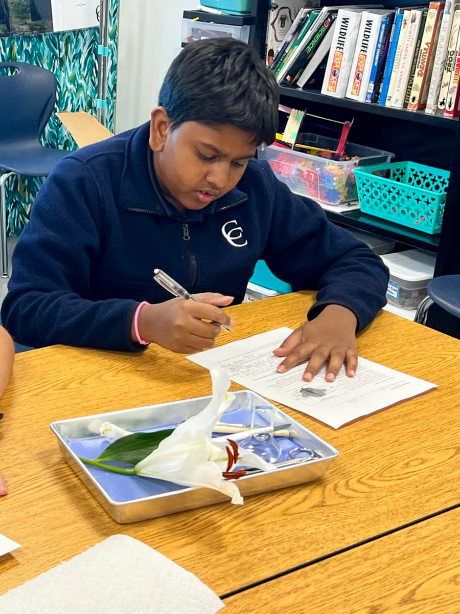 Cypress Christian tweet media