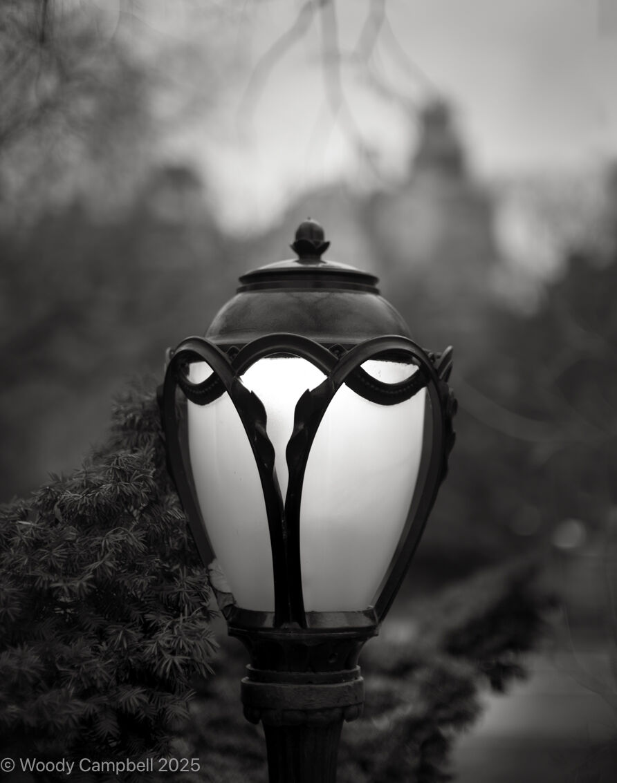 Woody_Campbell's tweet image. Lookking back exactly one year to Art Nouveau in Central Park. Day 5,615 of one photograph every day for the rest of my life.
#artistsofinstagram #park #centralpark #newyorkcity #artnouveau #BlackAndWhite #BNW #Photo #Monochrome #DailyPhoto
#Leica #M11M #Monochrom