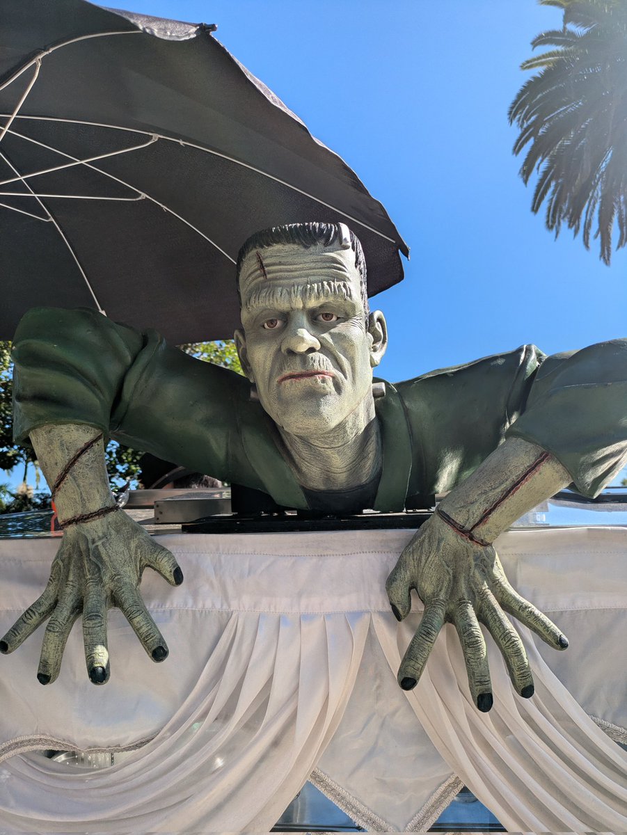 Matthew Chernov tweet media