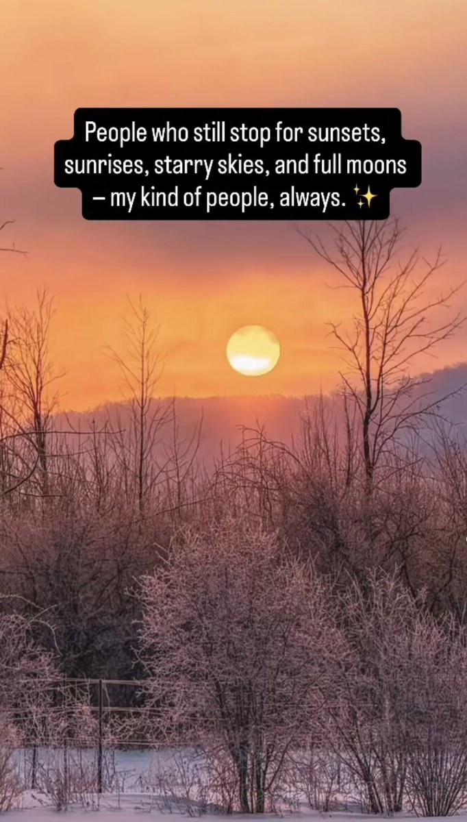 @KShannon💎 tweet media