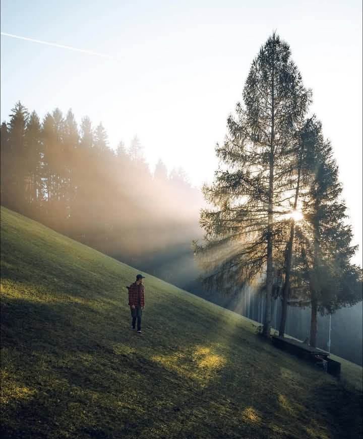 ๐๐๐๐๐ tweet media