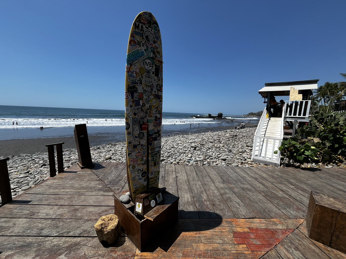 Arne aus den Ruthen tweet media