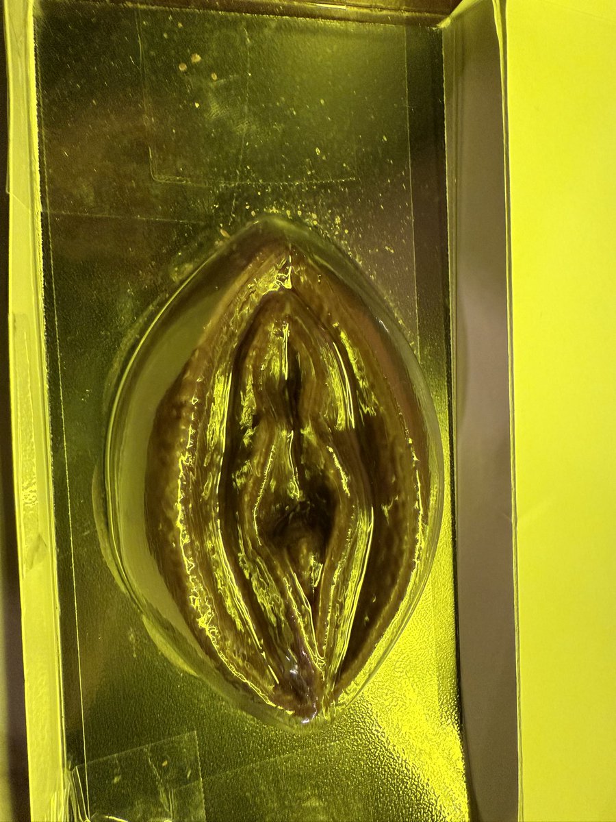 想看演唱会的库洛米 tweet media