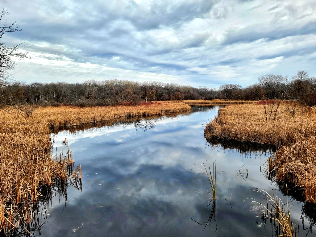 whitemoondave tweet media