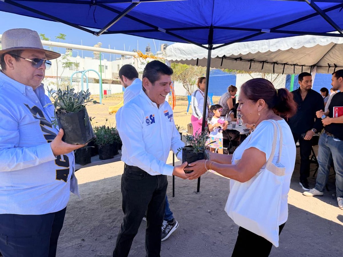 Fernando Torres G. tweet media