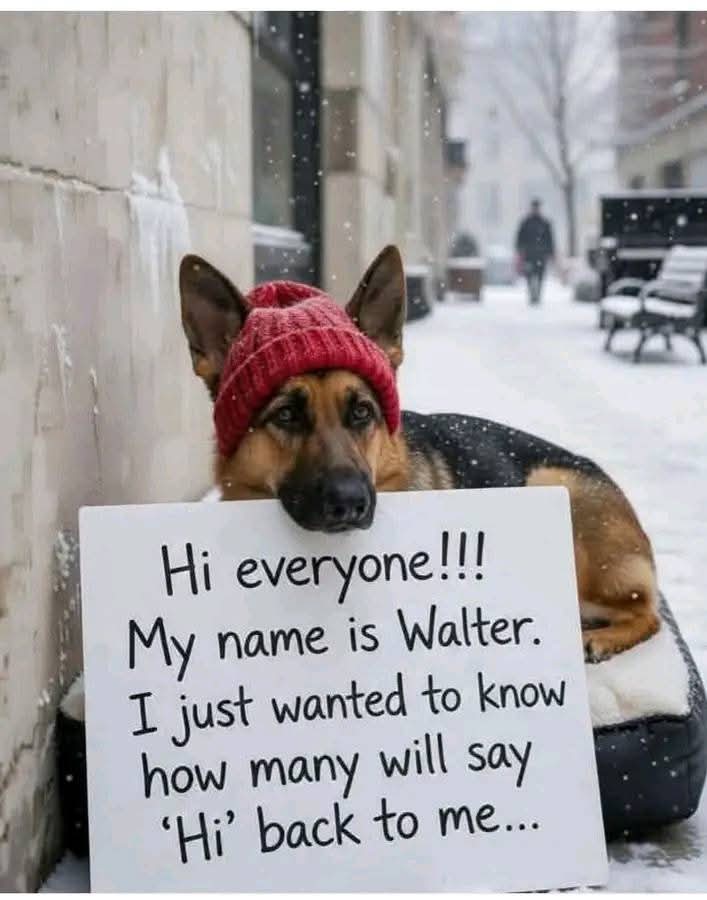 Elizabeth❣️ tweet media