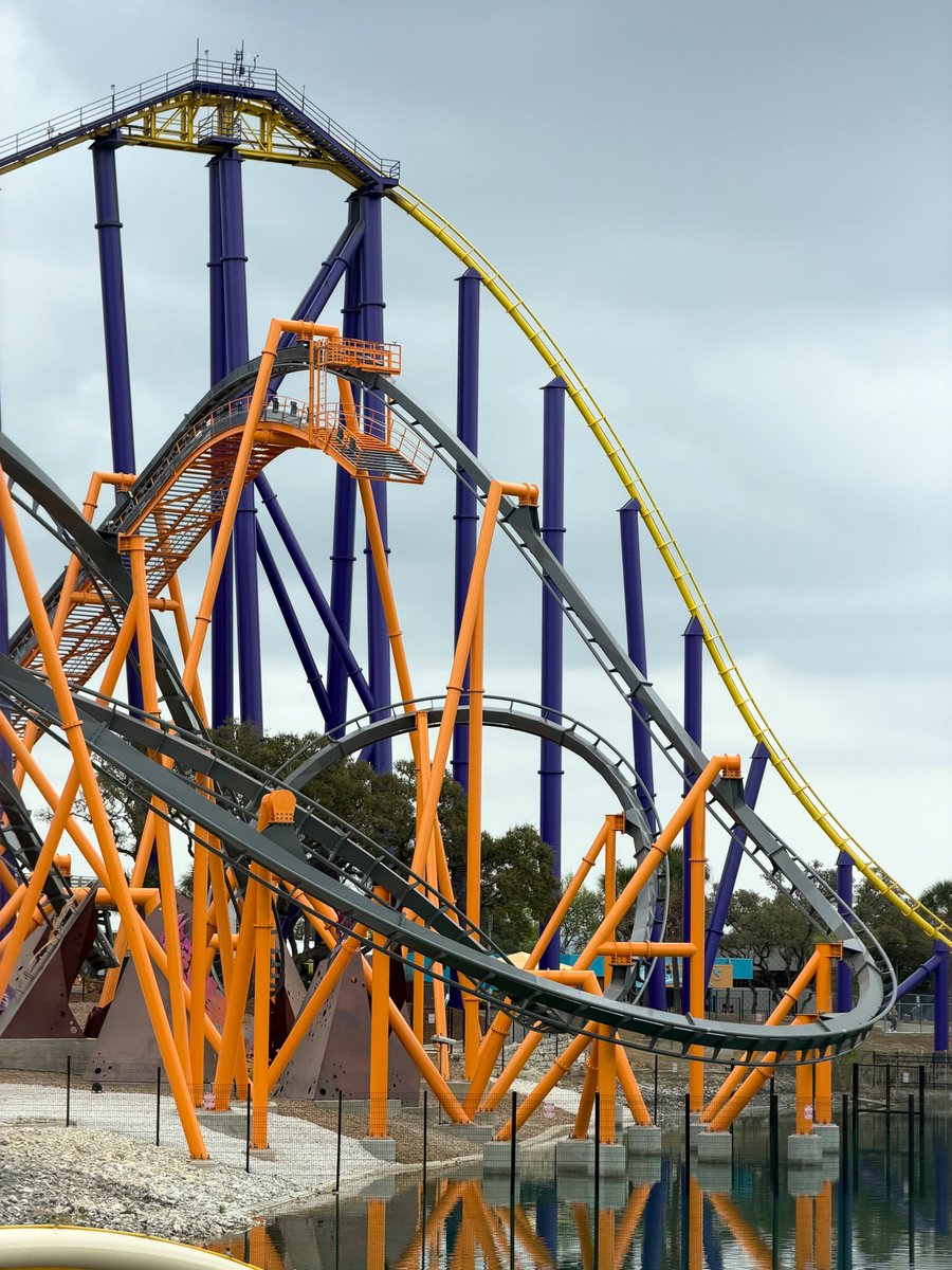 Taylor Bybee tweet media