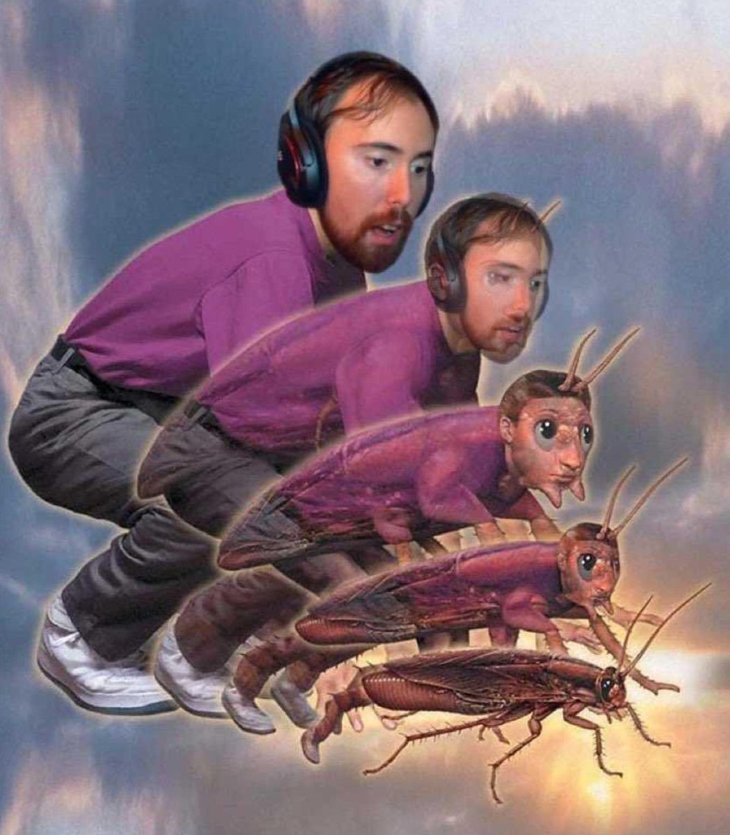 Autism Capital 🧩 tweet media