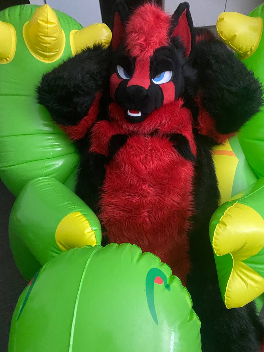 Rinz / Prisma 🔜 Confuzzled 2026 tweet media