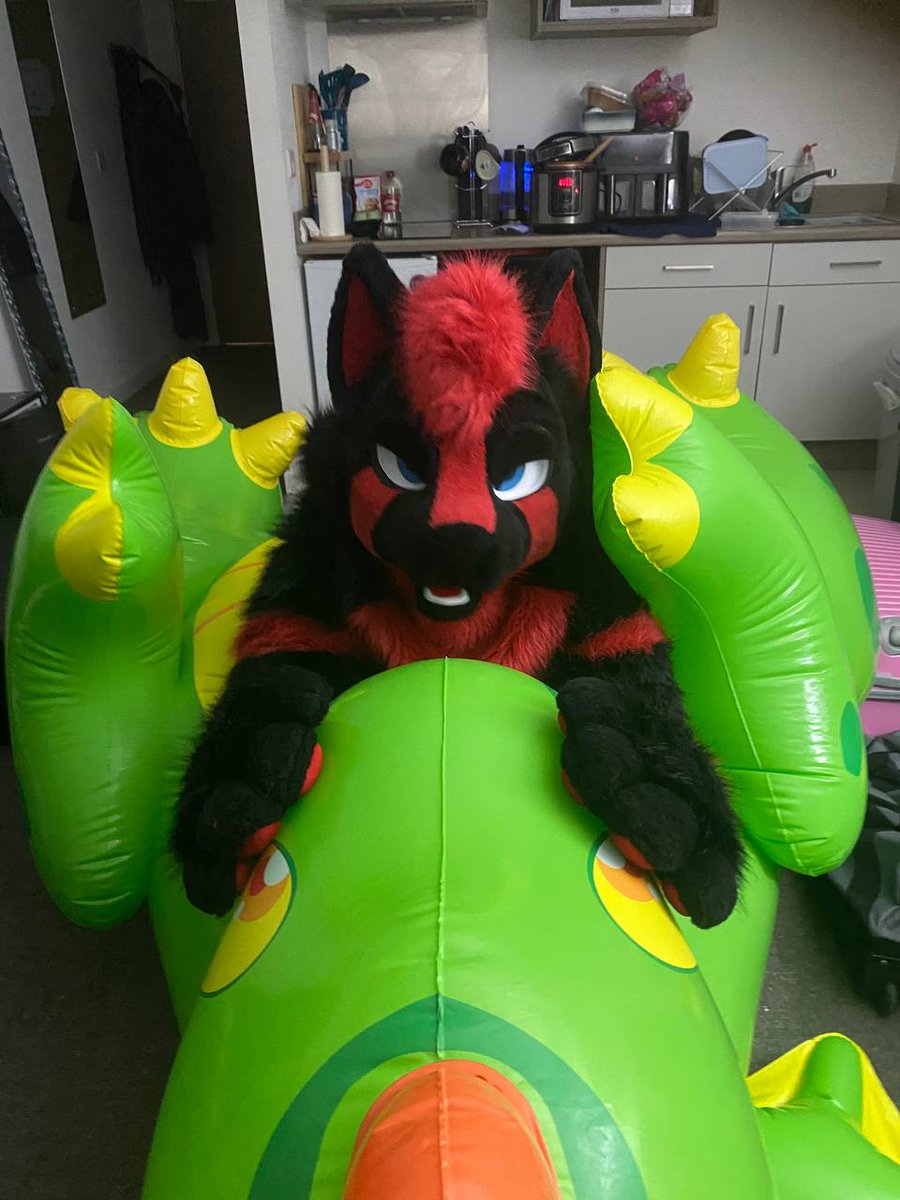 Rinz / Prisma 🔜 Confuzzled 2026 tweet media