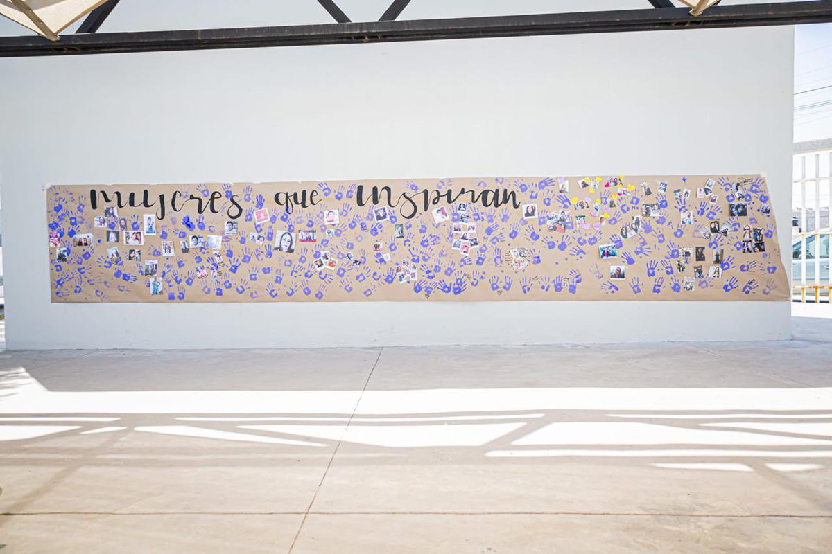 Escuelas afiliadas a la FNERRR conmemoraron el Día Internacional de la Mujer con carteles y actividades alusivas 💜⭐️ 

#8M #FNERRR #EstudiantesLP