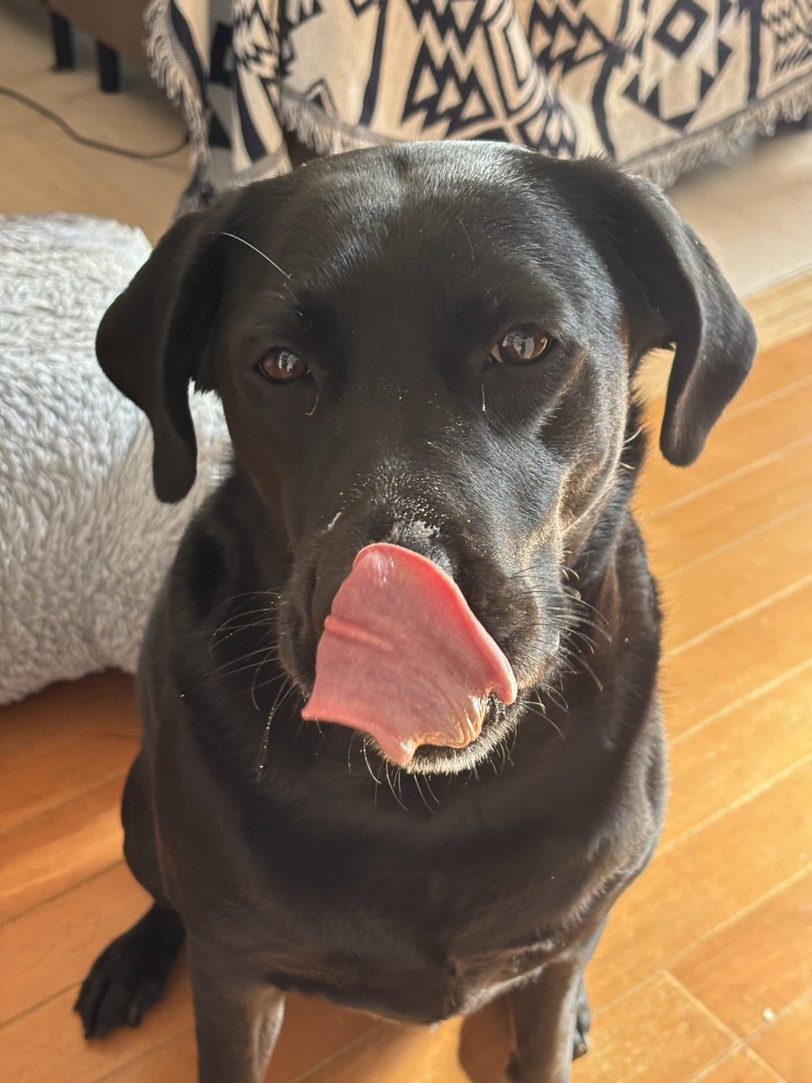 ヨーグルト食べました