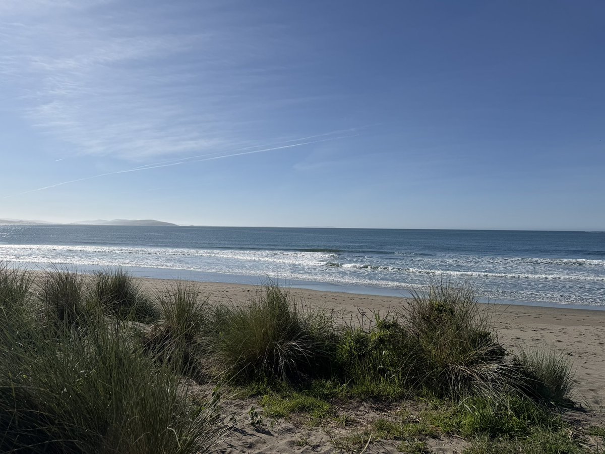 Jas⭕️n tweet media