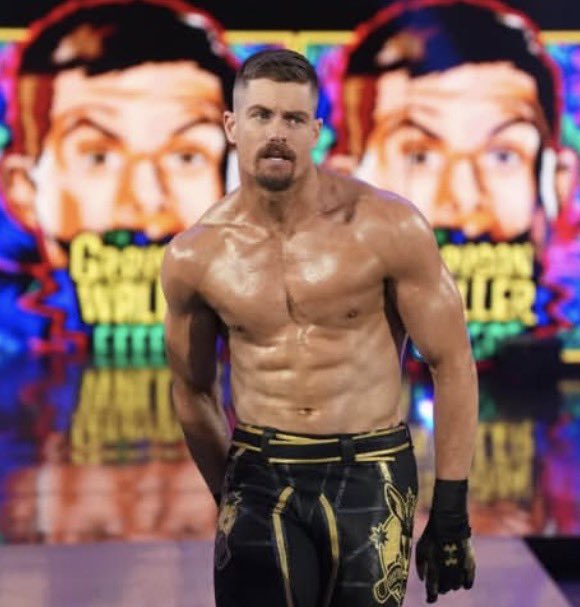 Daily Grayson Waller tweet media