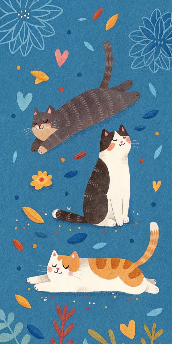 Cozy kitty collection.🐈🐈‍⬛