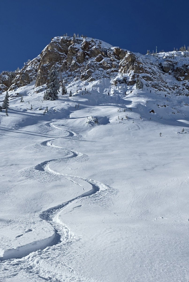 GrandAdventRV's tweet image. What a phenomenal day at @AltaSkiArea ! The best deep powder tracks of the season made this morning's traffic oh-so-worth it. 

#ski #skiing #Utah #utwx #GrandAdventure #skiutah #altaskiarea