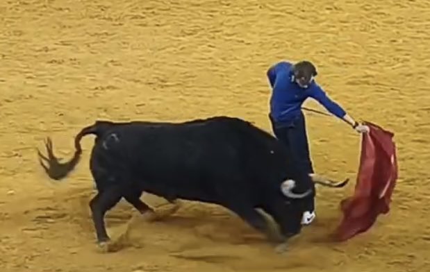 Ignacio Olmos tweet media