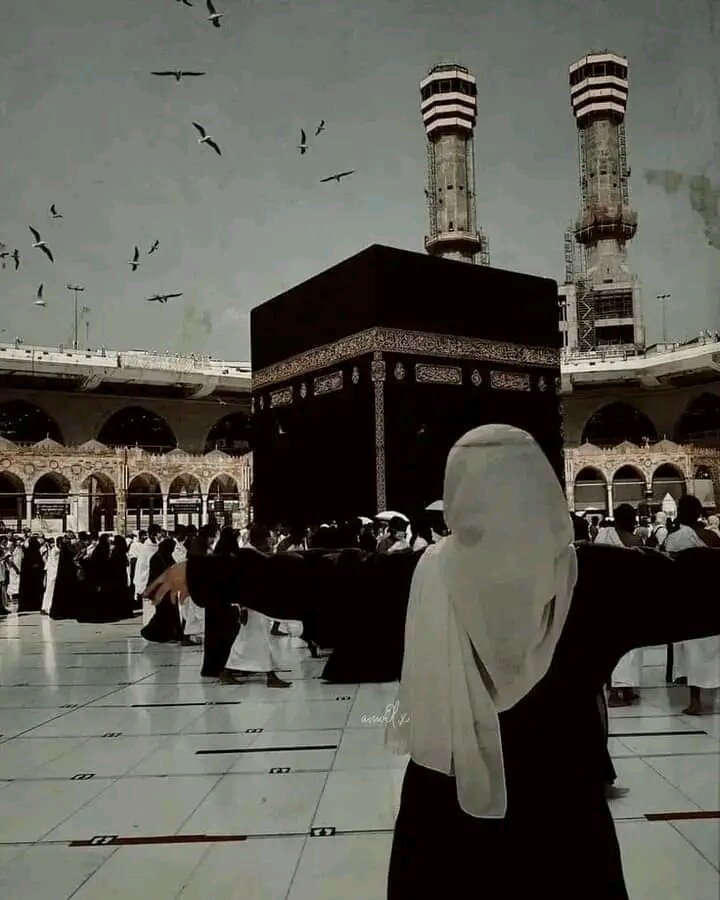 dmyny841's tweet photo. اودس مو څهره!*
*قران مو عقل* 
*او لمونځ مو نسلونه پاکوي!*

🌹♥️🎀 https://t.co/co9j2JrpqB