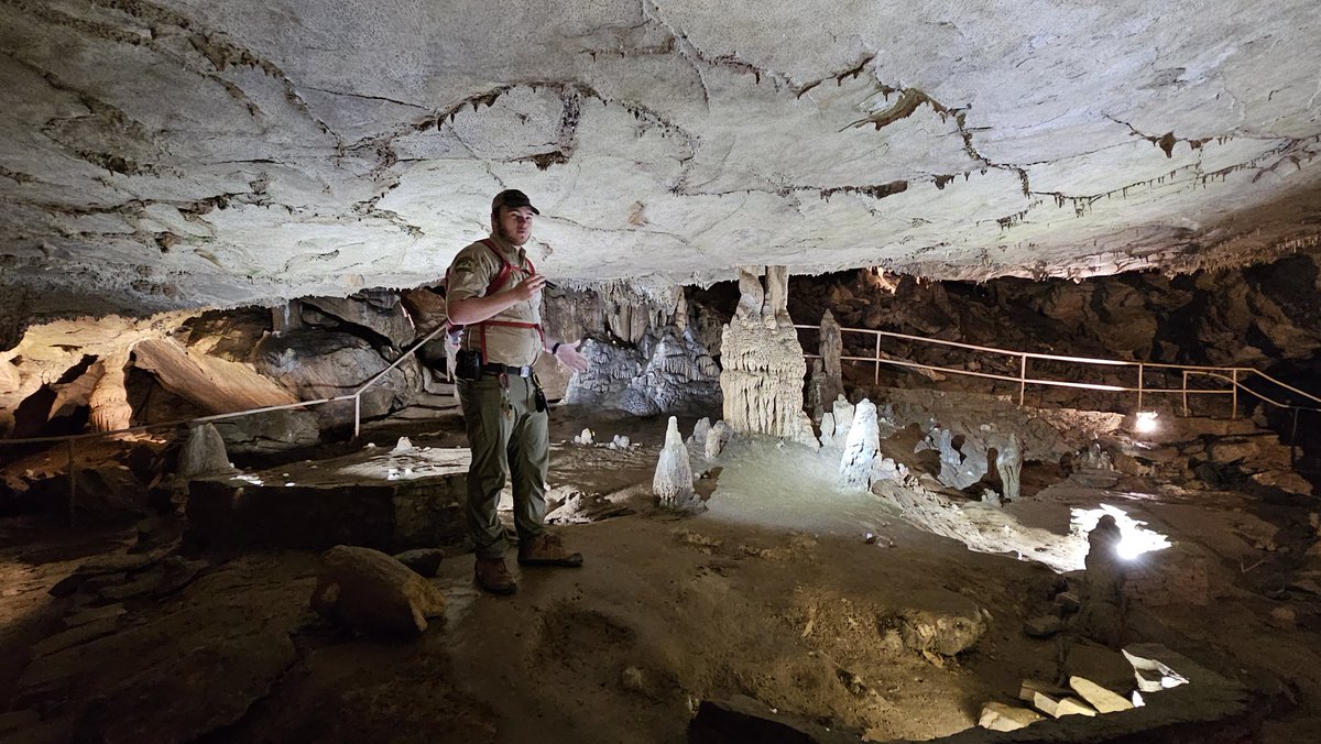 Nathan Gilbert tweet media