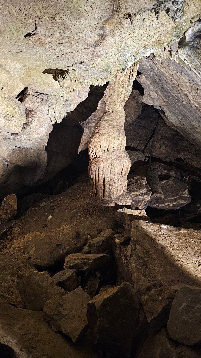 Nathan Gilbert tweet media