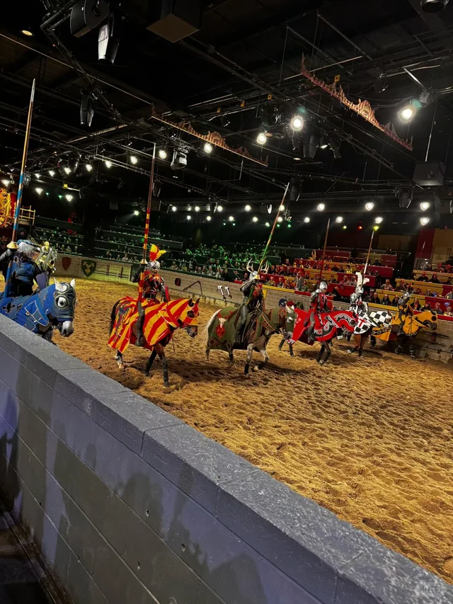 DanielSLT_11's tweet photo. From the arena to the feast table: cheering for the yellow knight like true royals Medieval Times magic with the fam. Who’s your favorite knight? 🥇👨‍👩‍👧 #MedievalTimesAdventure https://t.co/aVLsxxyAA8