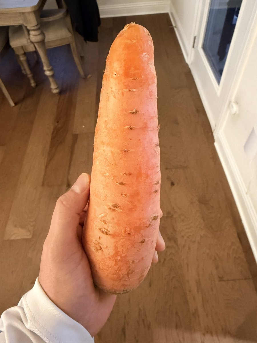 CitizenHush™️ tweet media