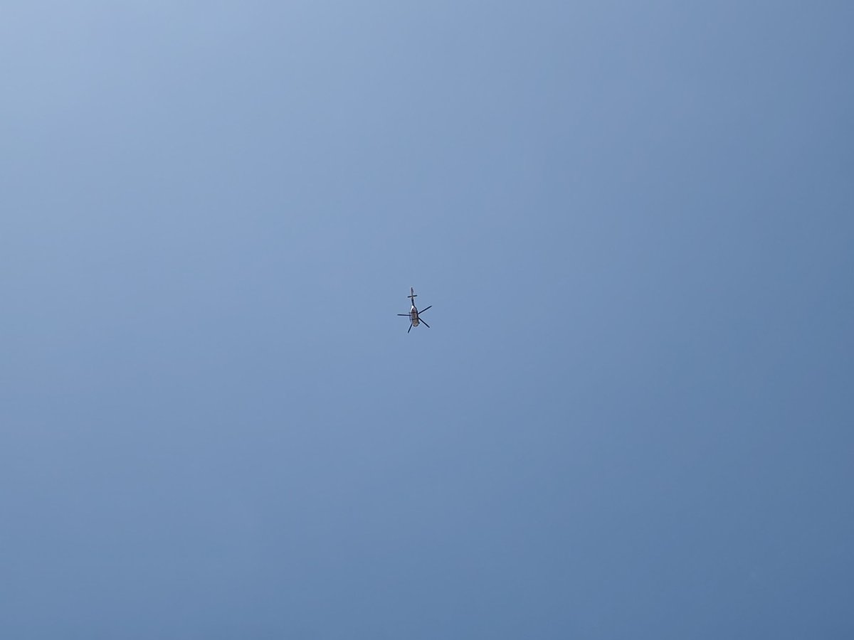 桜田澪（Mio Sakurada）@ころころ時々ぽてぽて tweet media