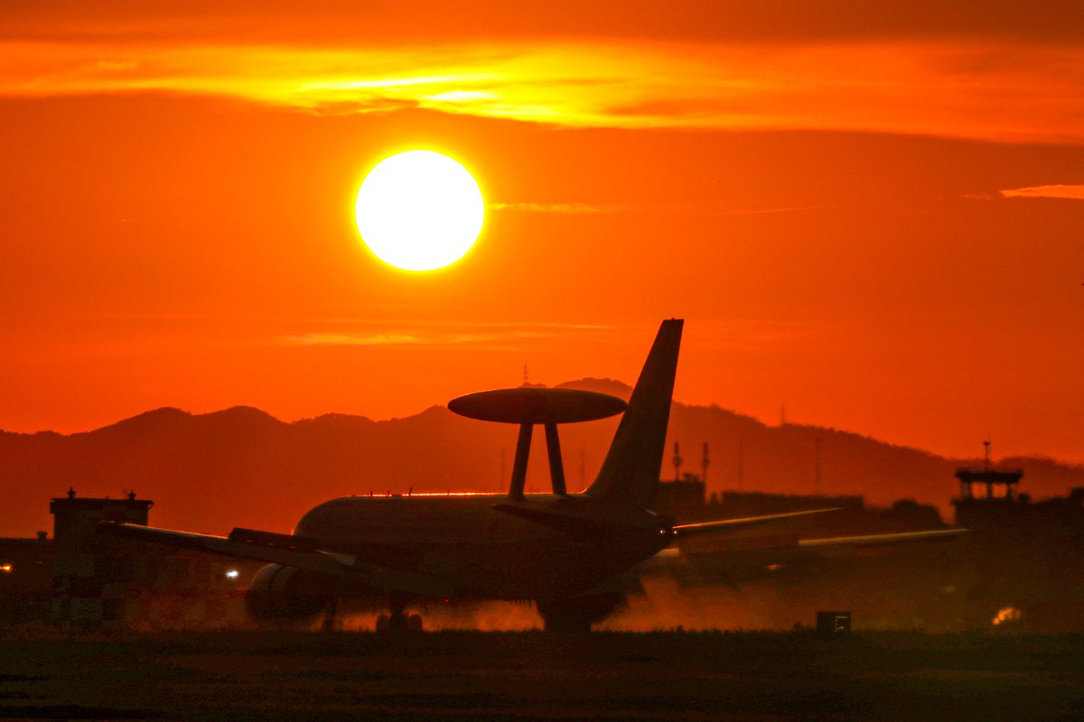 しまかぜ tweet media