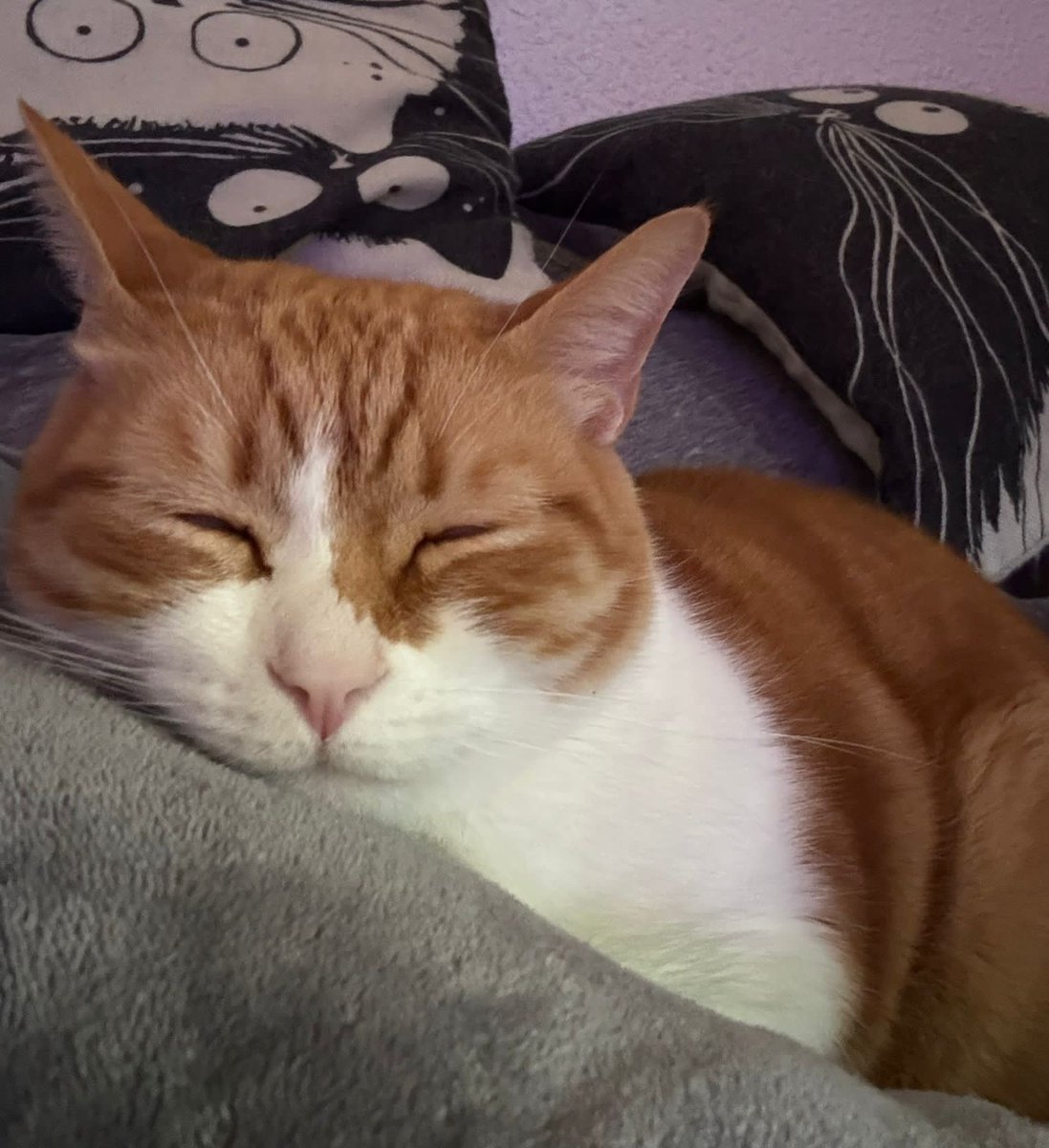 ⚔️Skyripa ⚔️ tweet media