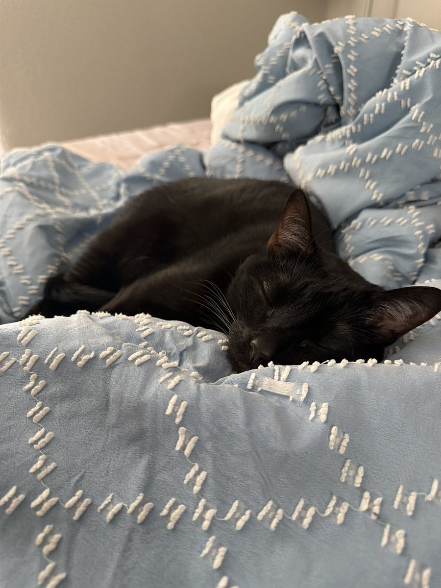 Stable Ronaldo tweet media