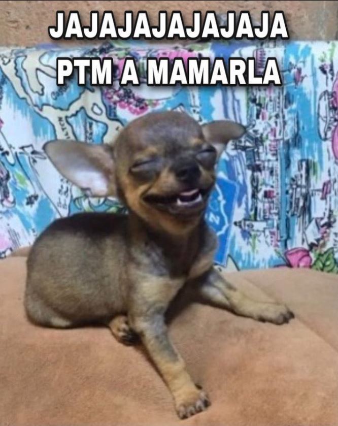 adrianos05's tweet photo. @c4jimenez @SSC_CDMX @FiscaliaCDMX https://t.co/KTX6GzgFsT