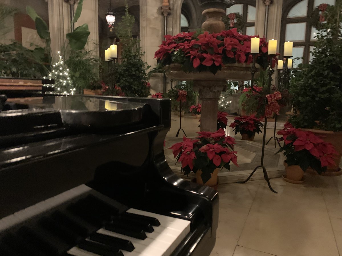 elisa_comer's tweet image. So, a totally non-health question... please leave a reply!

What is something we don't know about you ? Share a picture?

I'll start, I'm a pianist. Last concert was Biltmore House for Christmas.

#CommunityBuilding 
#justforfun 
#Sjogrens
#BrainTumorWarrior
#RheumatoidArthritis
