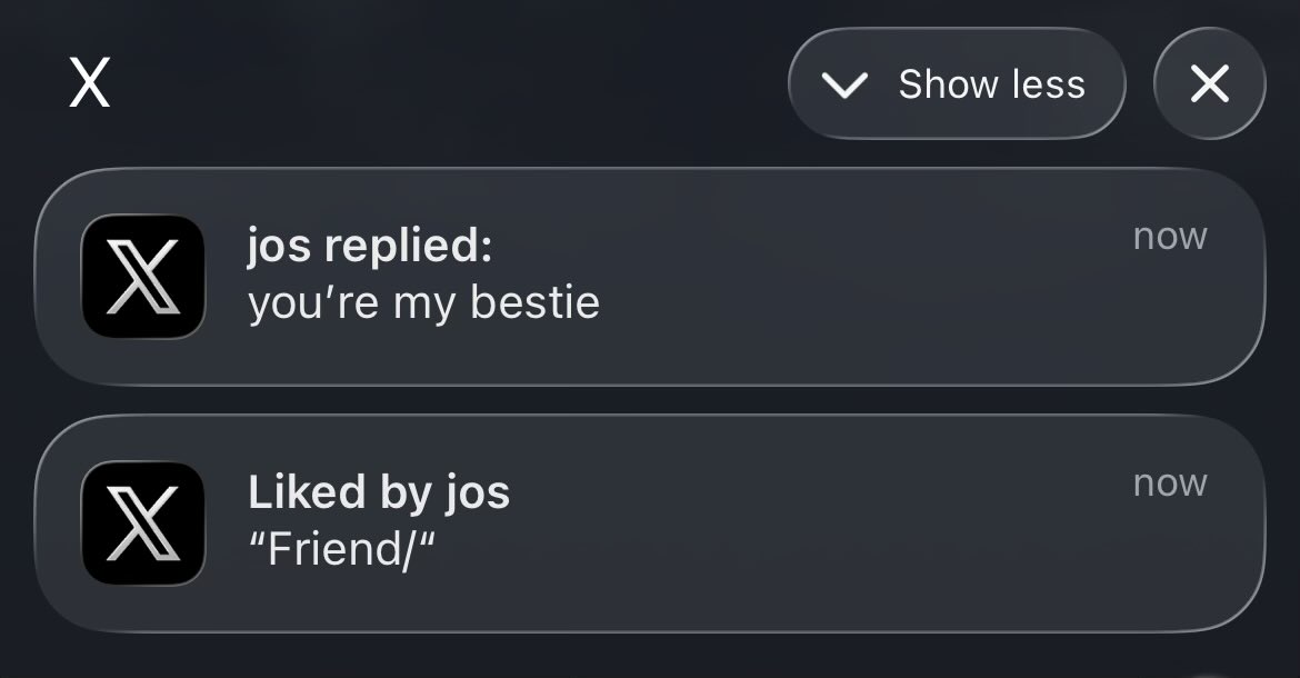 Stephen D'Angelo tweet media