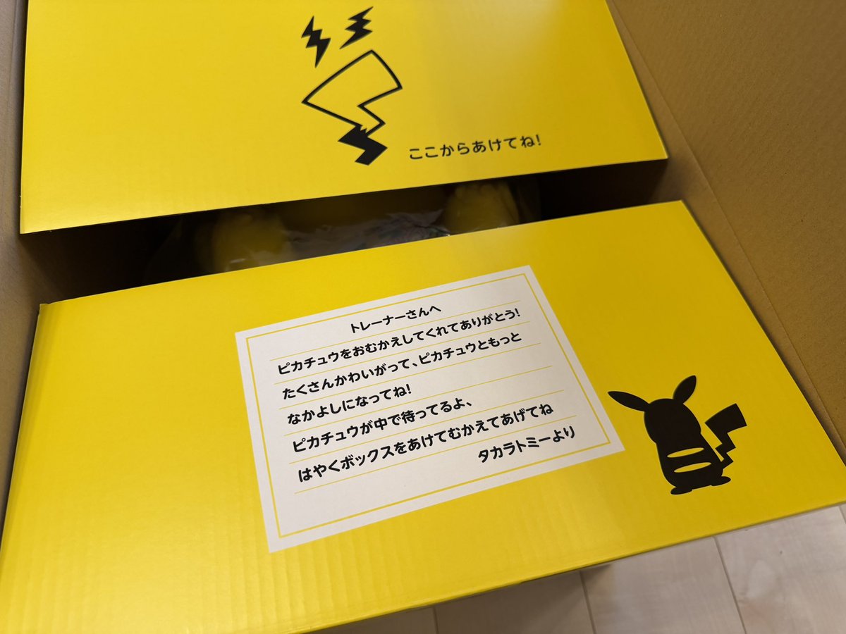 ssdnnf's tweet photo. なめこのあっぱれパーカーとかピカチュウとかいっぱい届いてた！昔のんふんふ急便もとっといてるけど、専用ダンボールは可愛い＆捨てづらい！ https://t.co/rF6V8TRkzw