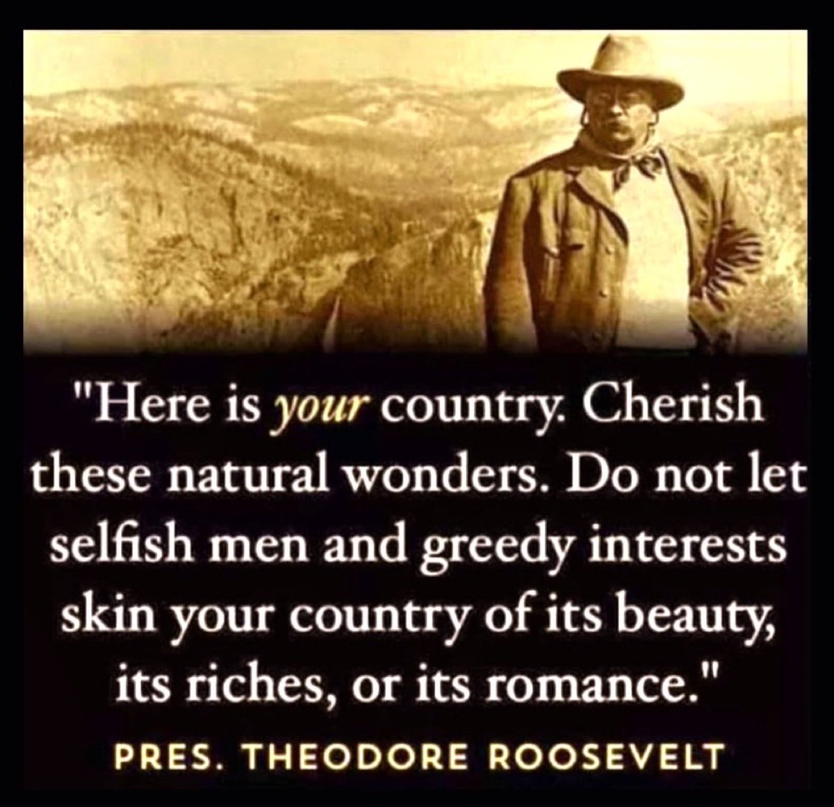 Michael F Ozaki MD tweet media