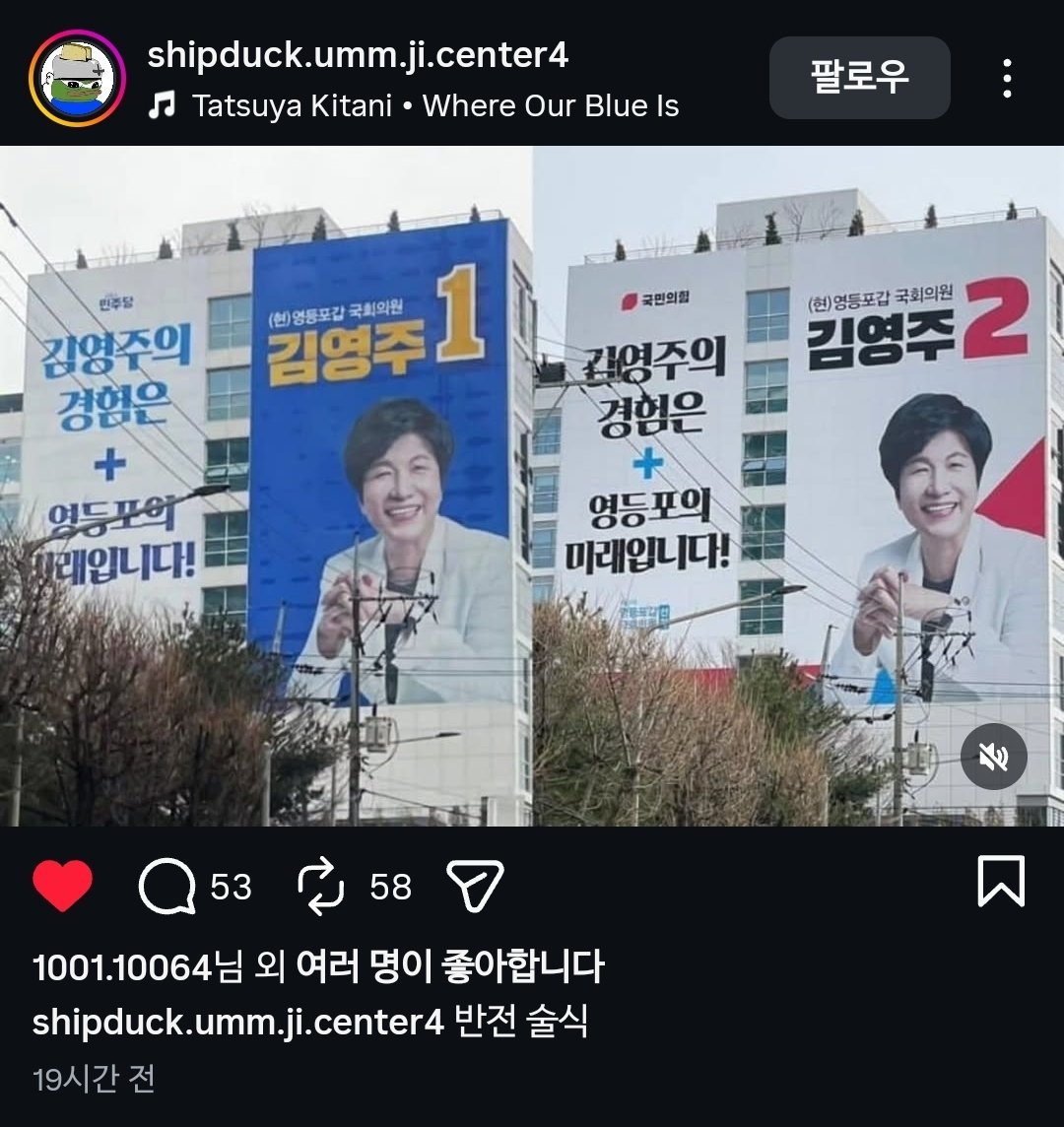 풍견風犬 tweet media