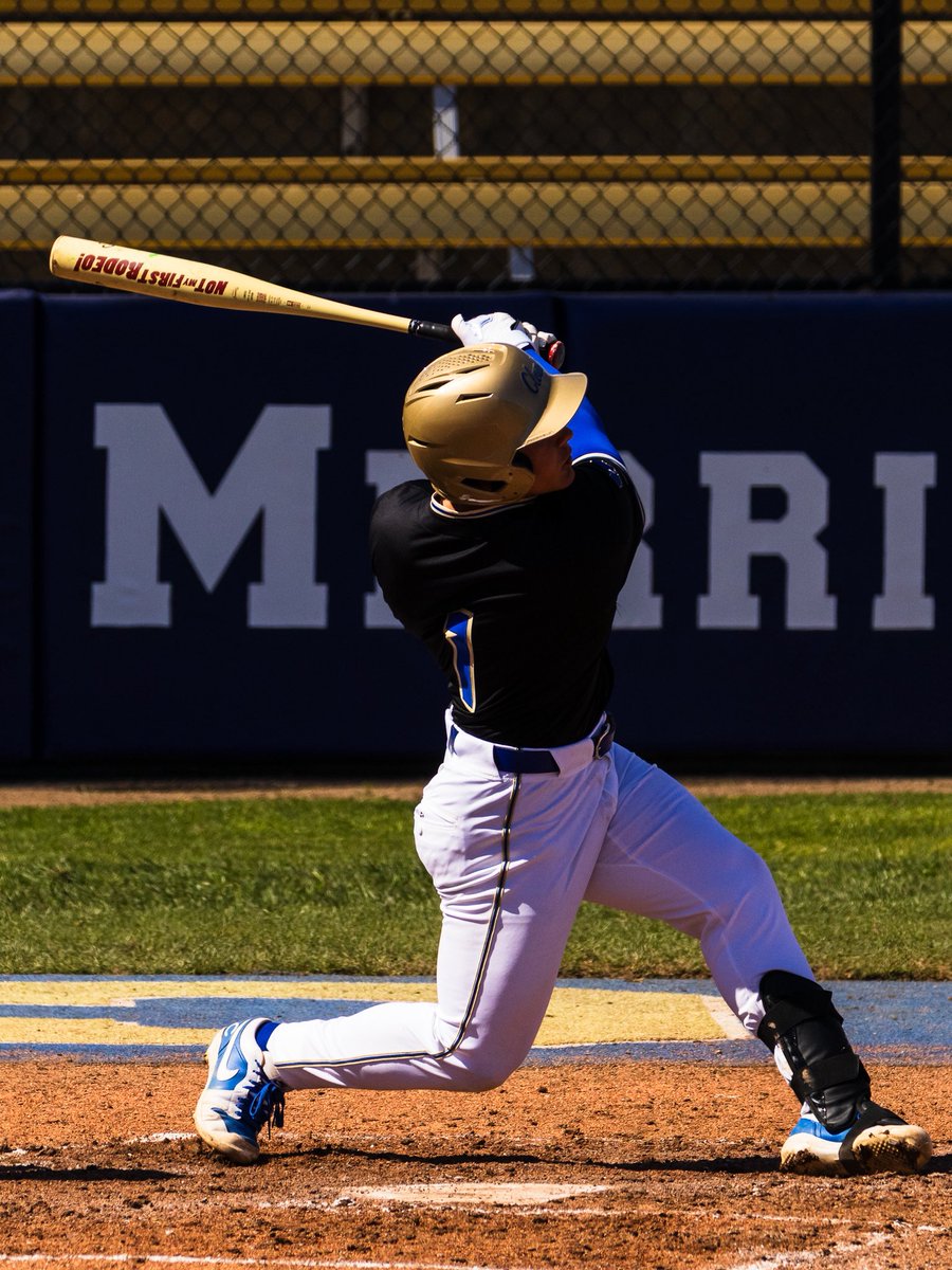 Purpose Field tweet media