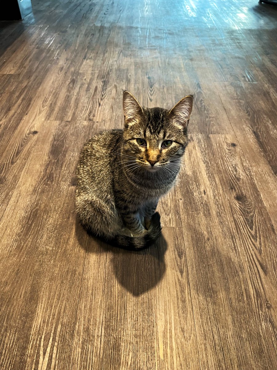 FUTUREMΛП tweet media