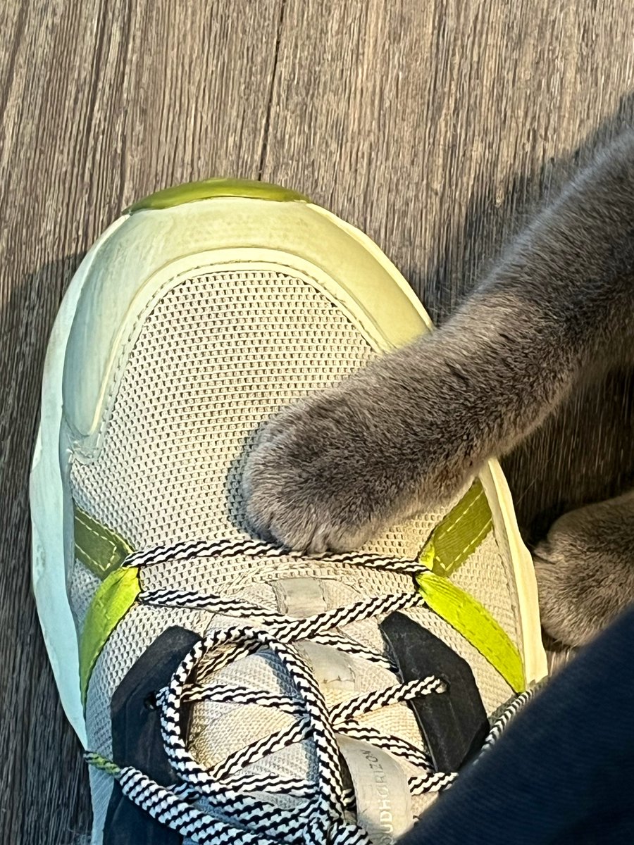 FUTUREMΛП tweet media