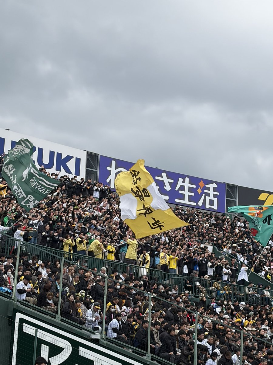 aaa1018sss's tweet photo. 今期、初、遠征は
まけほー😭
オープン戦だから、まぁ大丈夫やけど
甲子園は面白い球場です
阪神さん、また最後に試合したいですね⚾️ https://t.co/KKtEqRQQP9