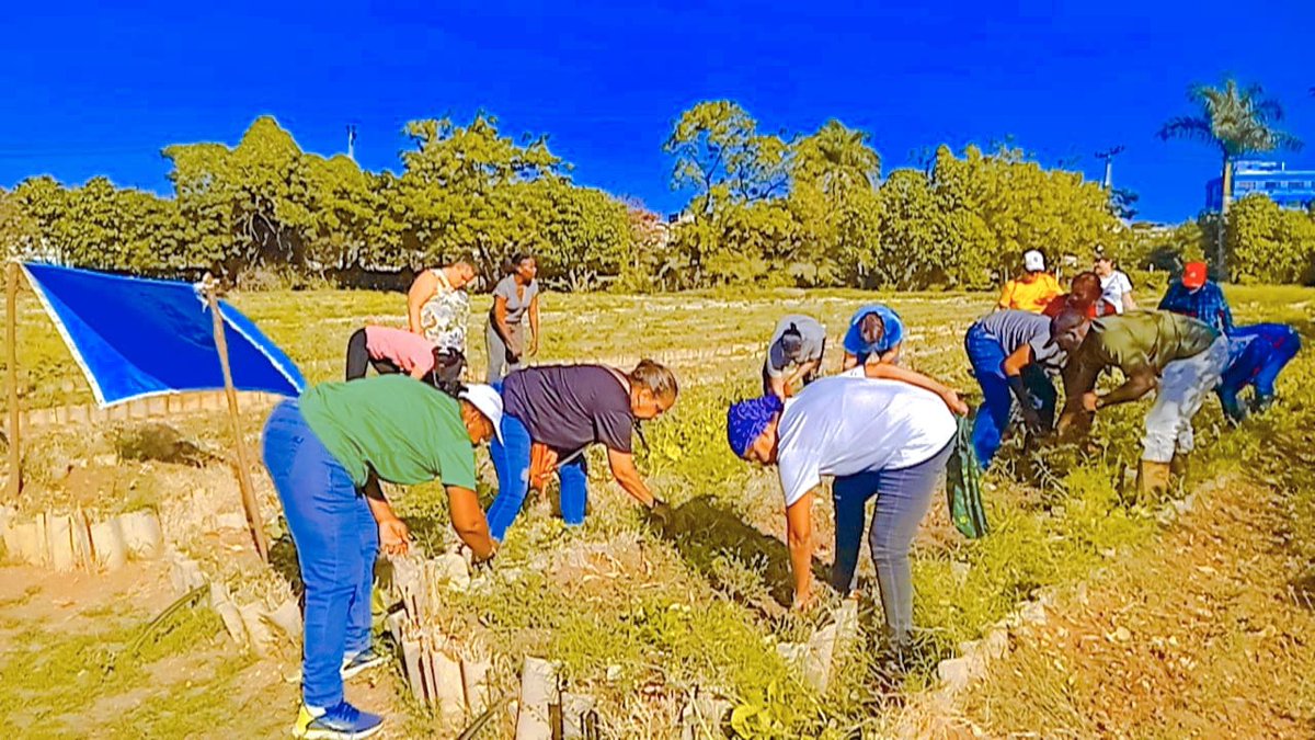 @yaniovaFMC tweet media