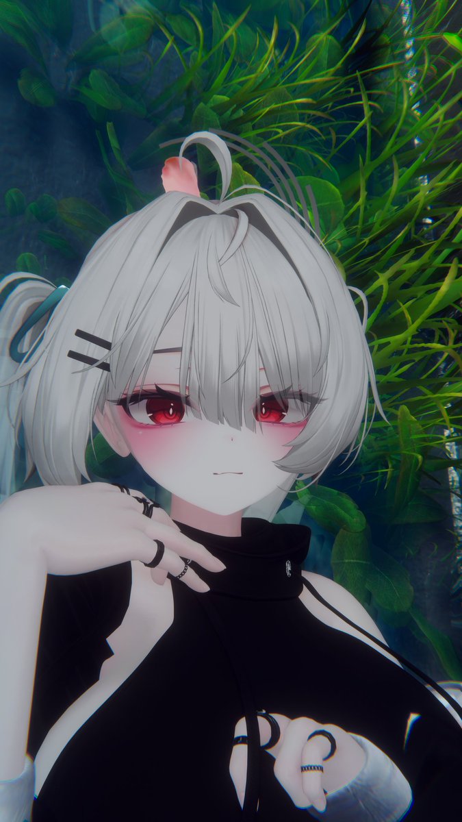 사메히메 tweet media