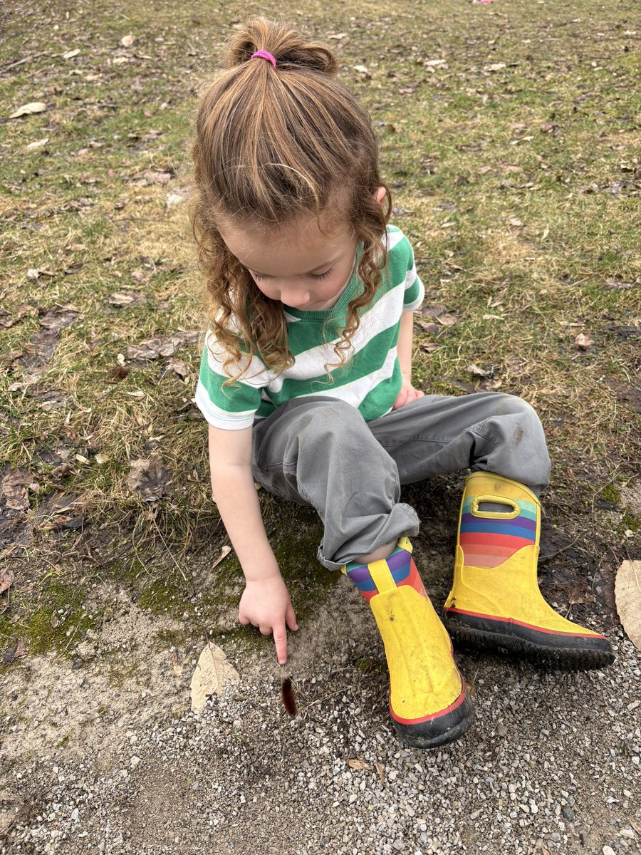 kle052789's tweet image. Fantastic unexpected visit to @KalamazooNature after last night’s crazy storms. #maplesugarfestival #soggywalk #optoutside #becausewecan