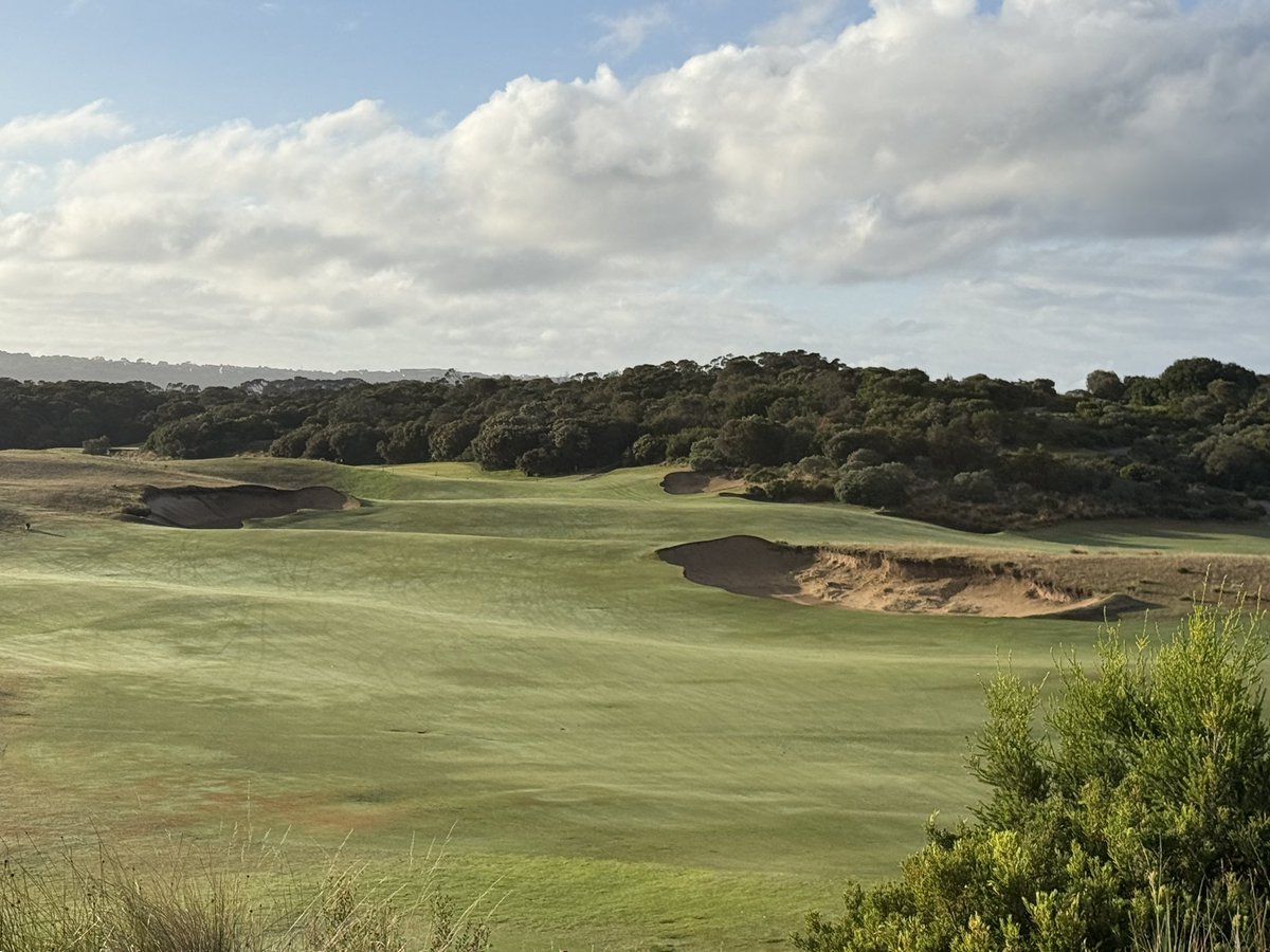 Rick Golfs tweet media