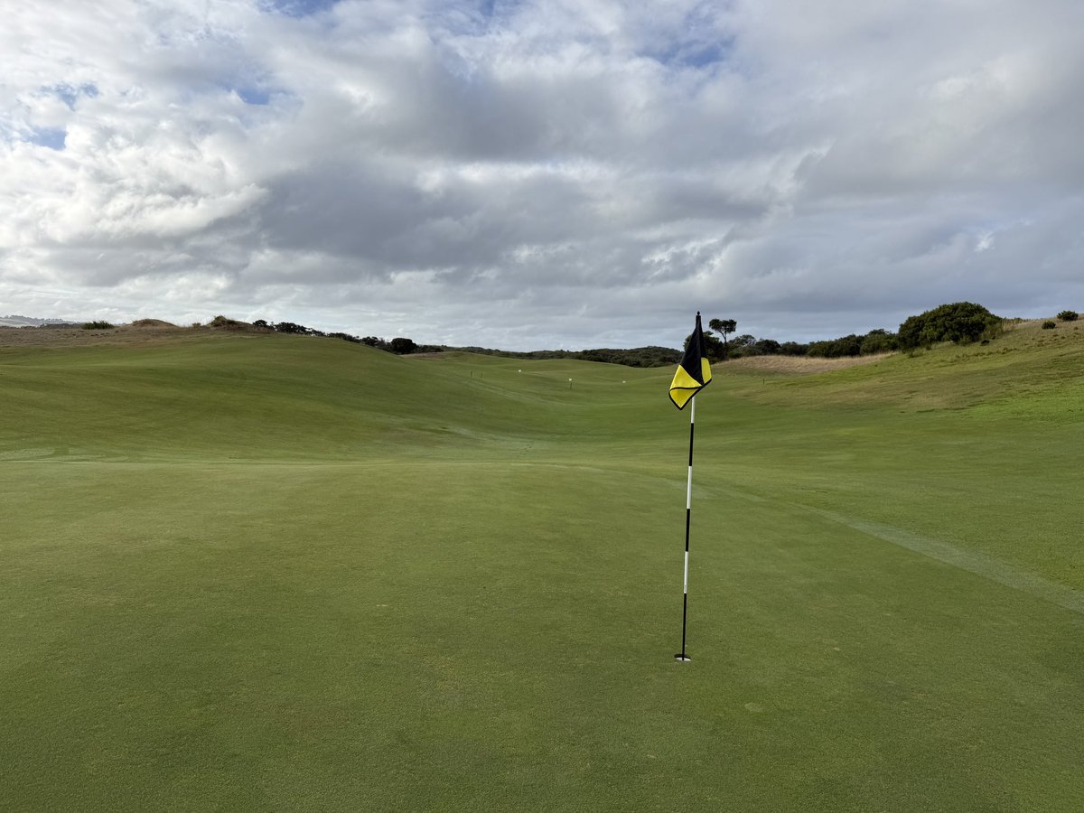 Rick Golfs tweet media